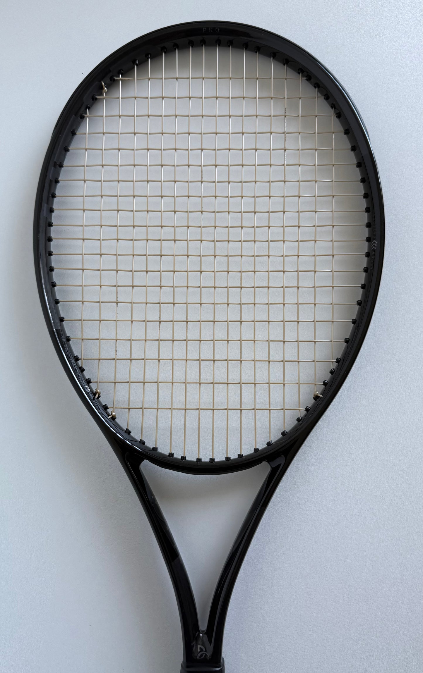 Head Speed Pro Legend 2024