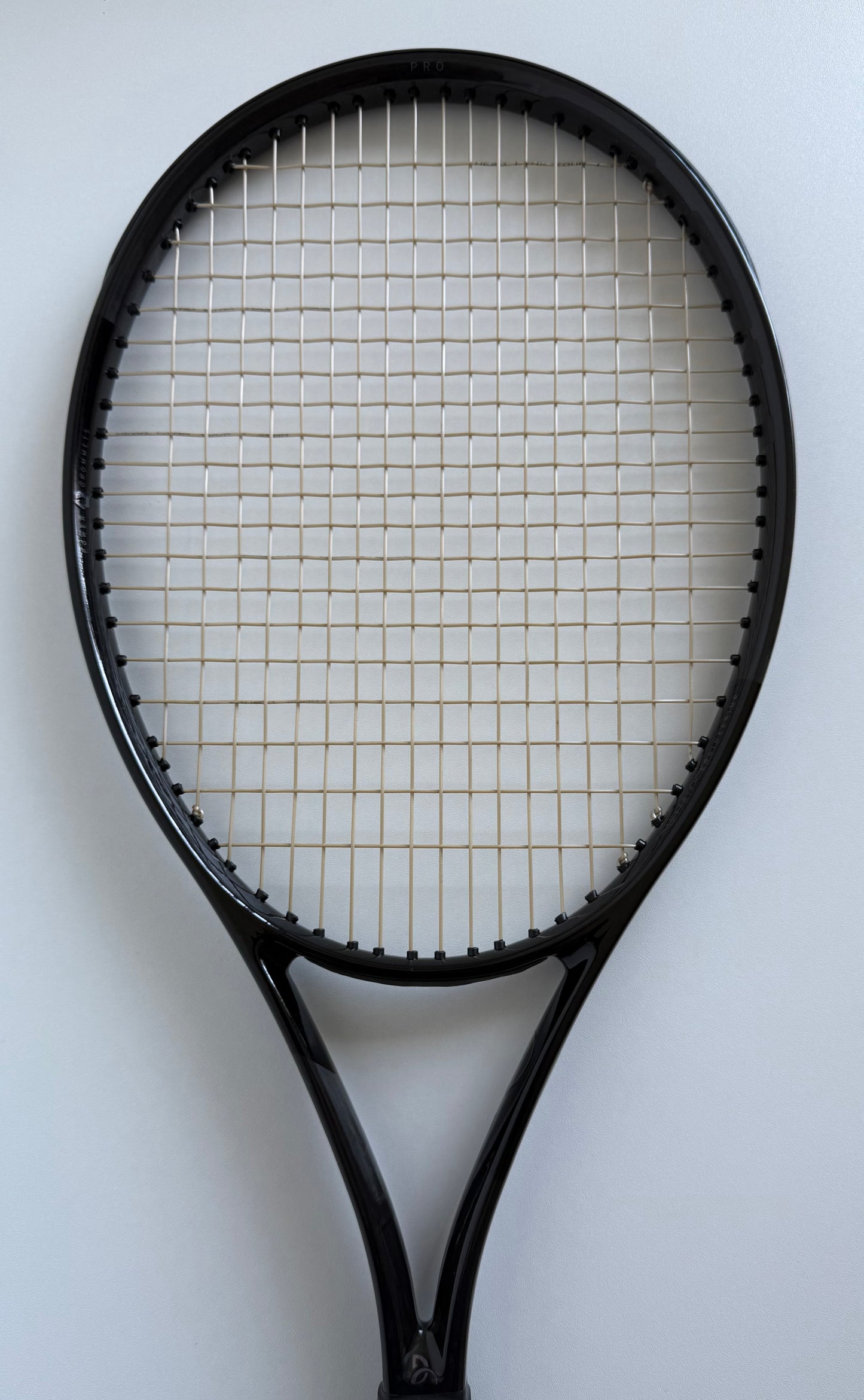 Head Speed Pro Legend 2024